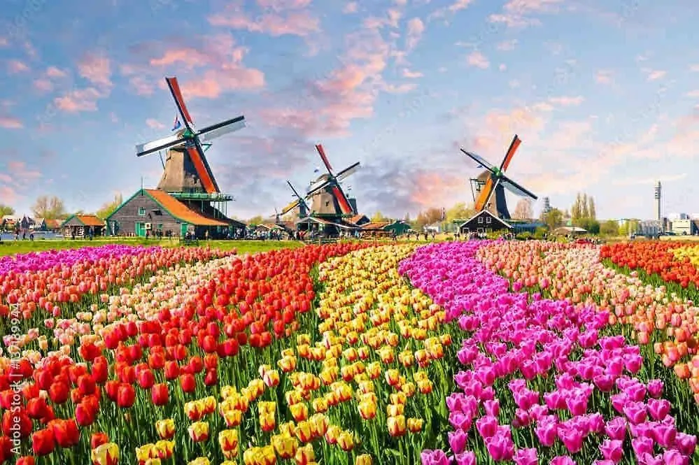 Spacious And Cozy House With Affordable Parking Amsterdam 0*,